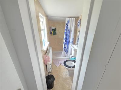 Picture 5